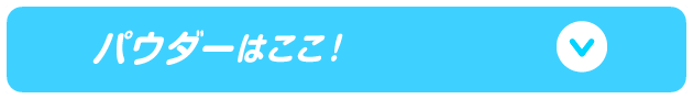 パウダーはここ！